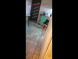 24 secretly masturbate to a teenage maid, after which she cleans my sperm from the floor, with conversa